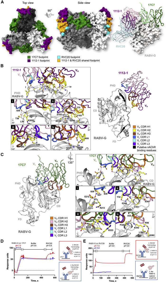 Figure 4