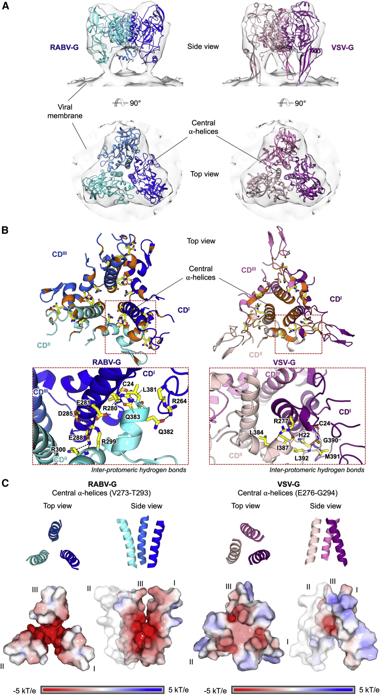 Figure 3