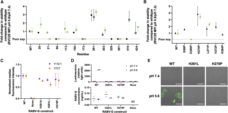 Figure 2