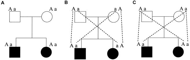 Figure  1