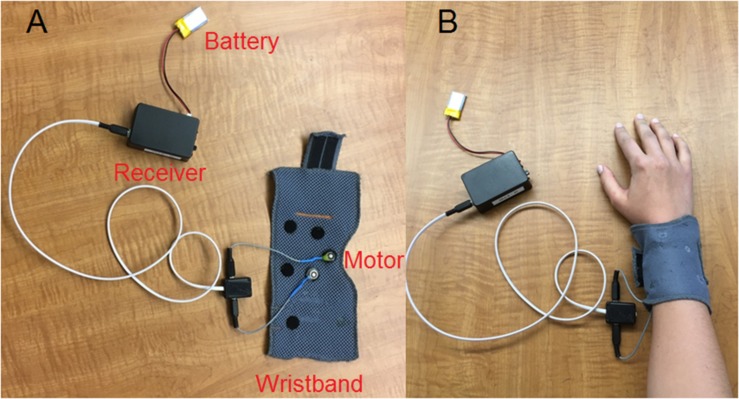 FIGURE 1