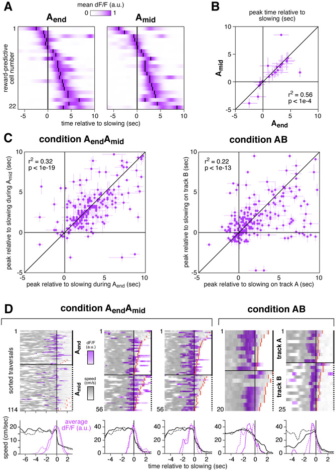 Figure 5: