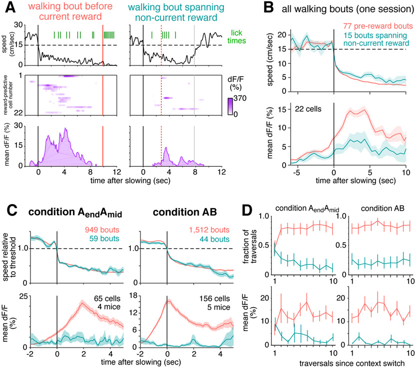 Figure 6: