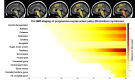 Graphical abstract