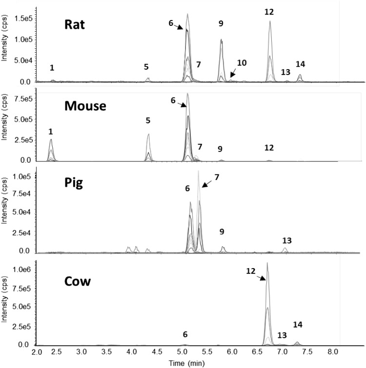 Fig. 3