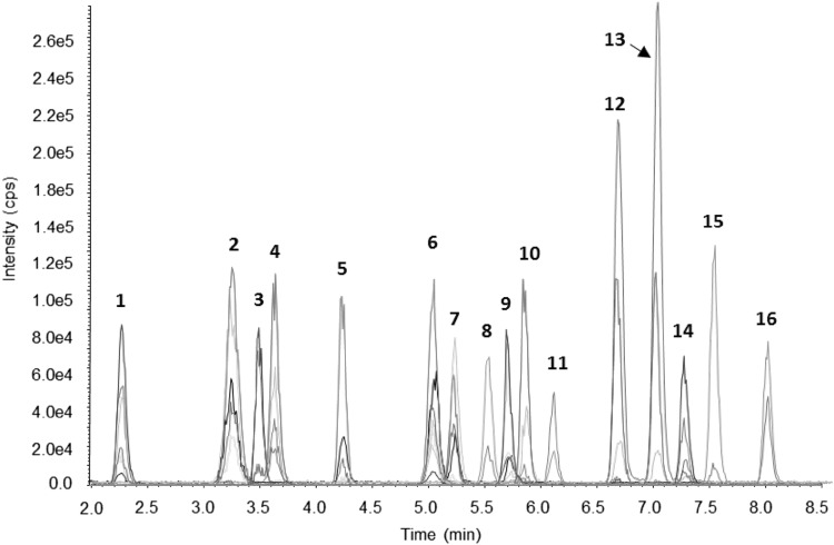 Fig. 2