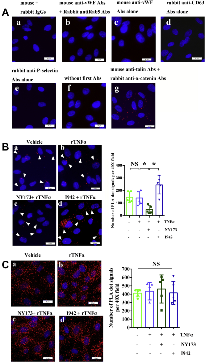 Figure 5