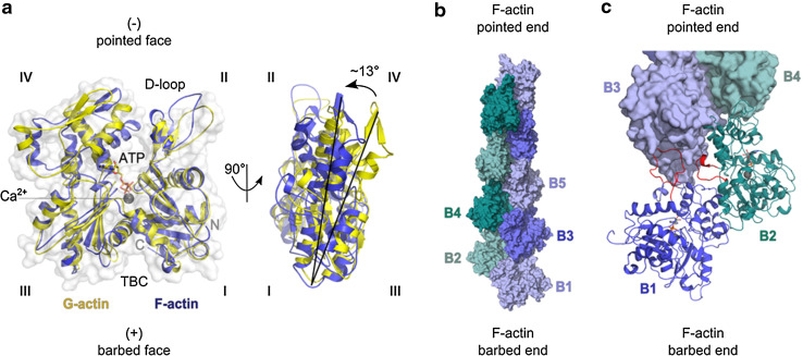 Fig. 2