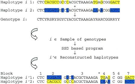 Figure  4