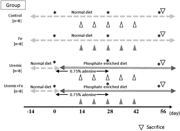 Fig. 1