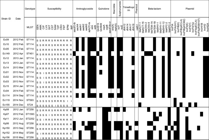 FIG 2