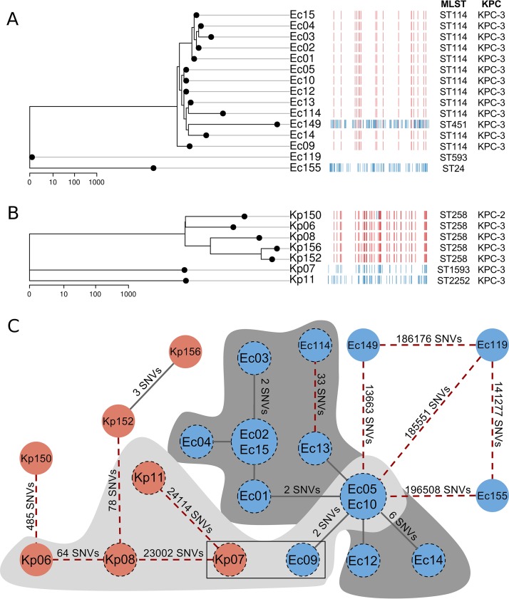 FIG 3