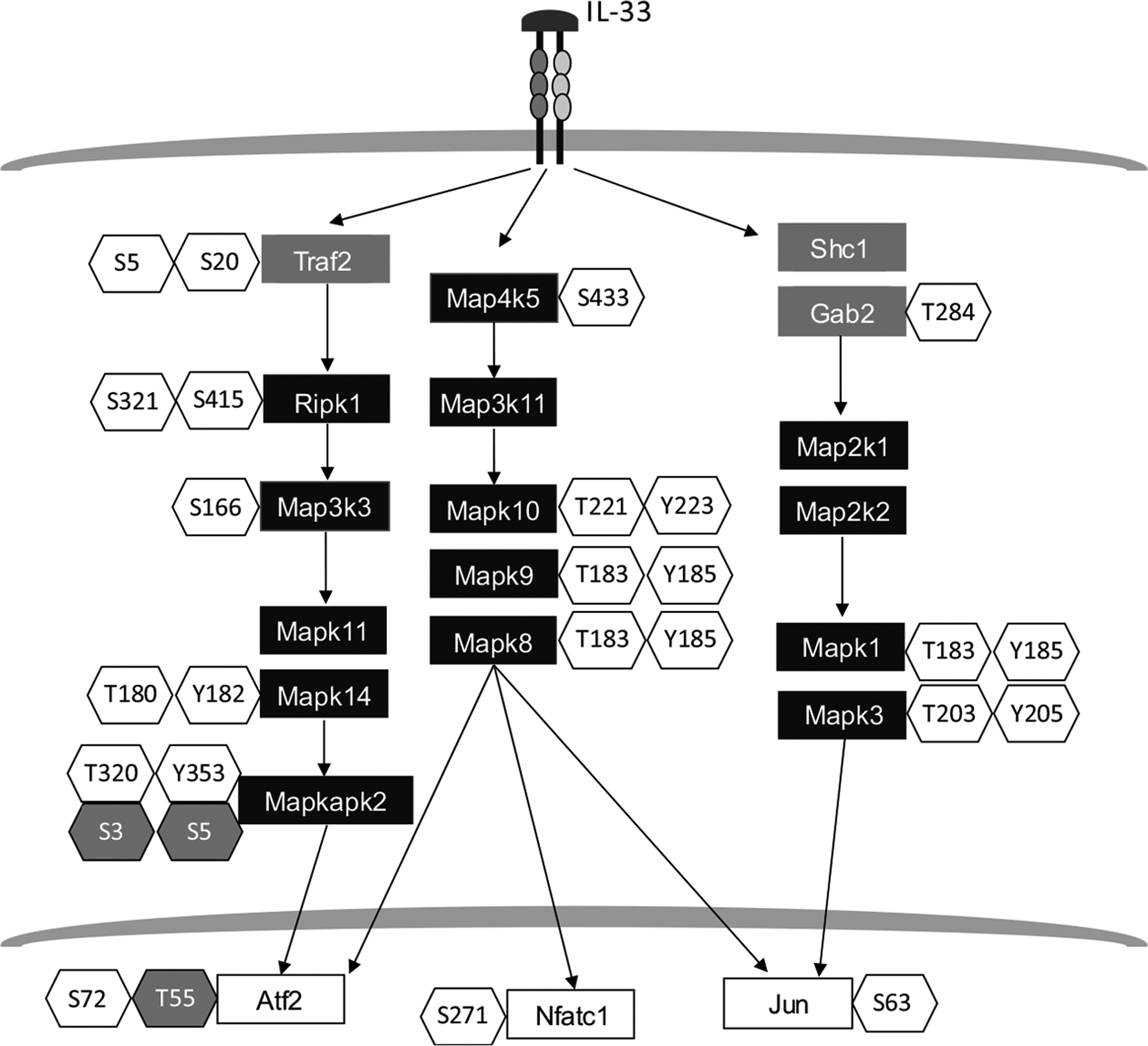 Fig. (5).