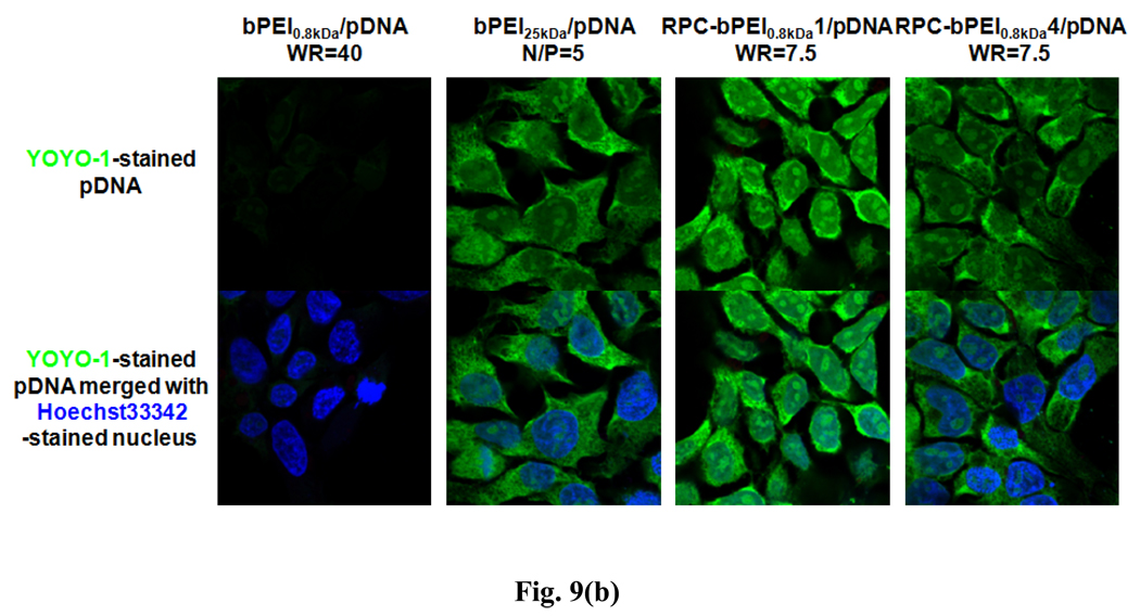 Fig. 9