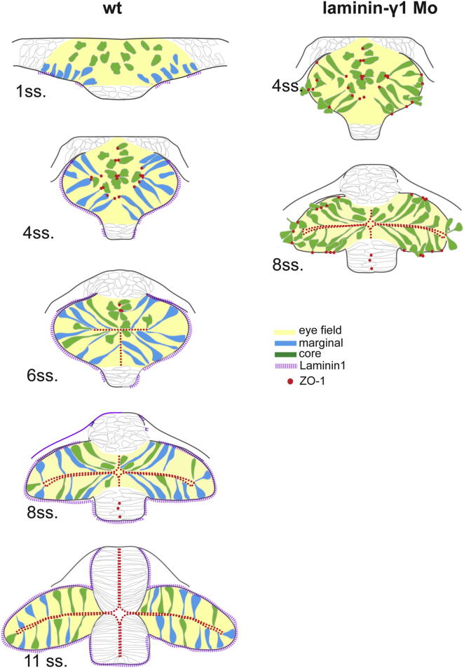 Figure 7