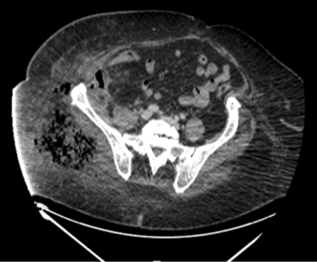 Fig. 5