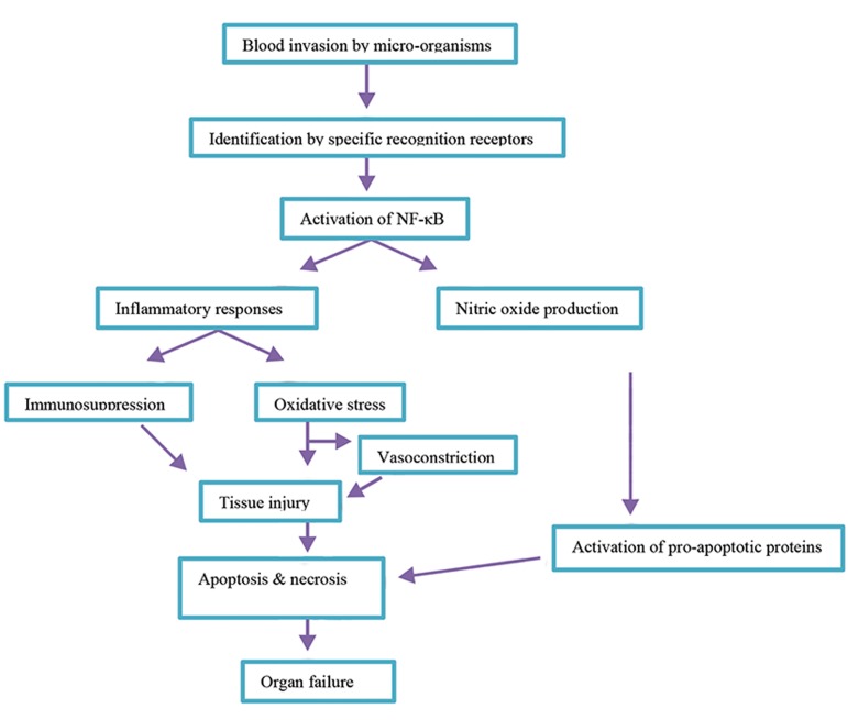 Fig.2