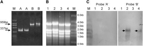 Figure 5.