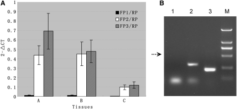 Figure 4.