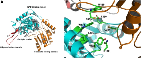 Figure 7.