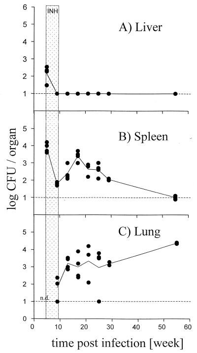 FIG. 1