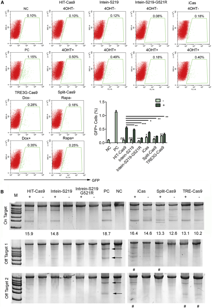 Figure 4