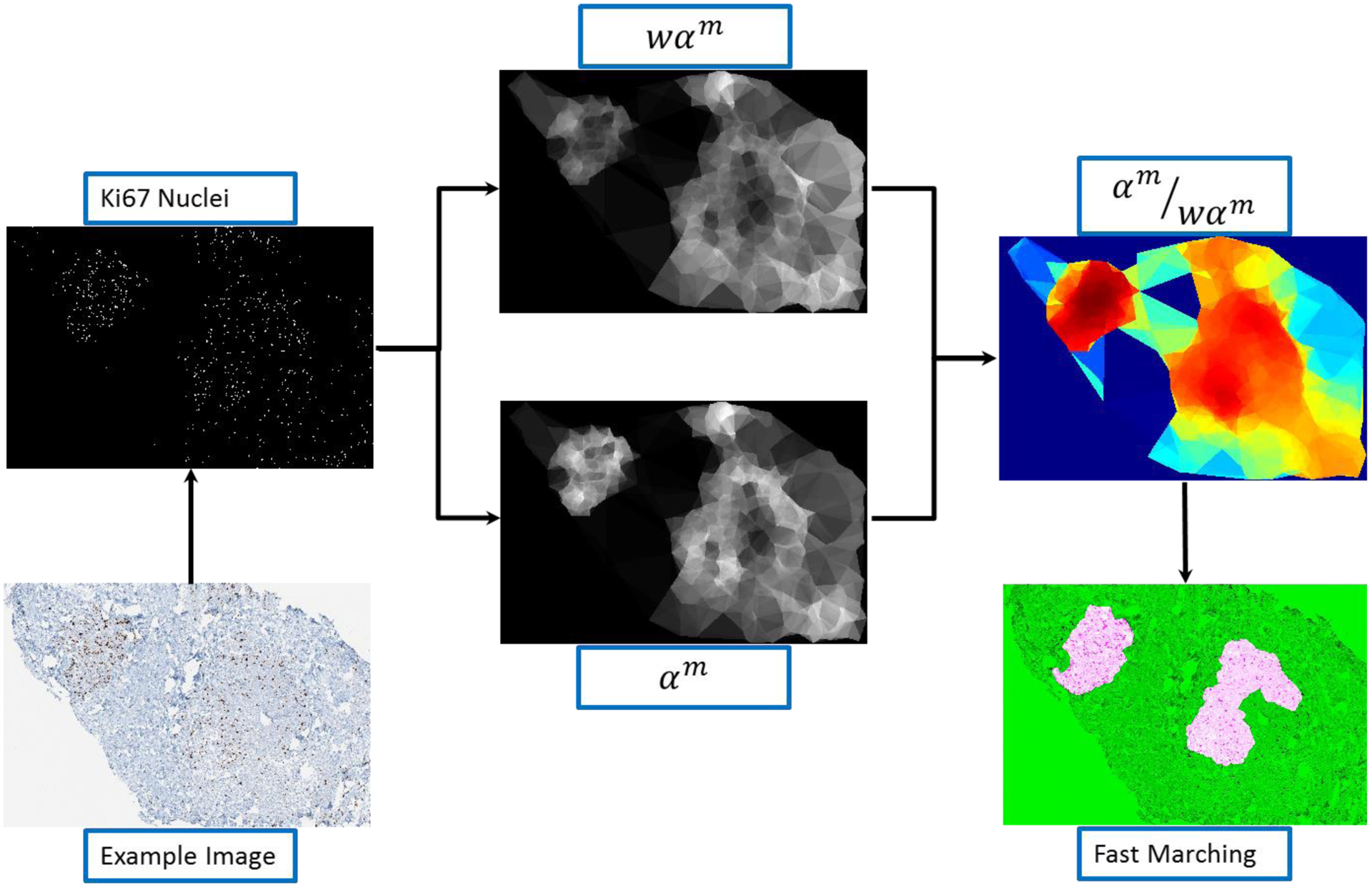 Figure 5: