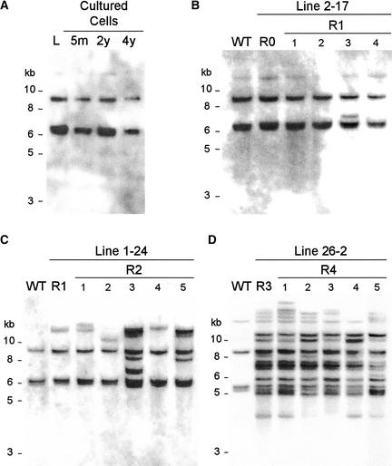 Figure 5.