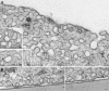 Figure 8.