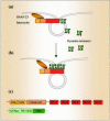 Figure 10.