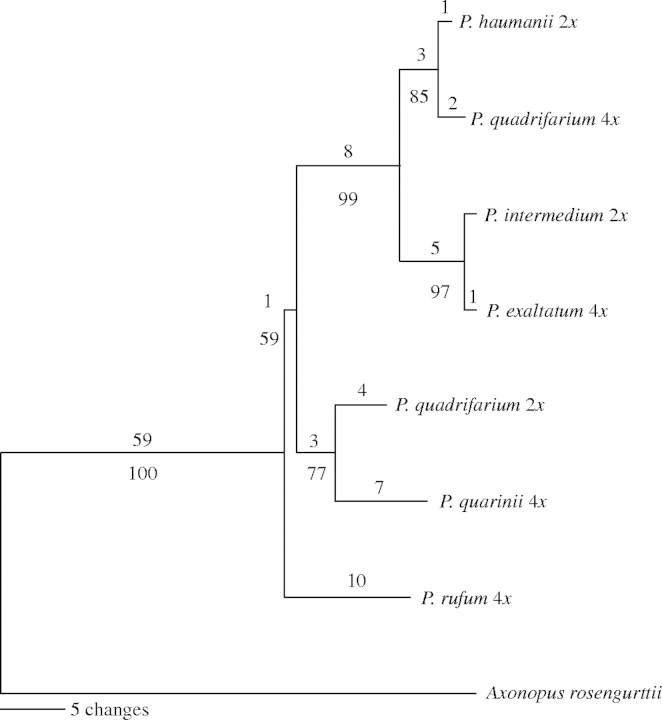 Fig. 5.