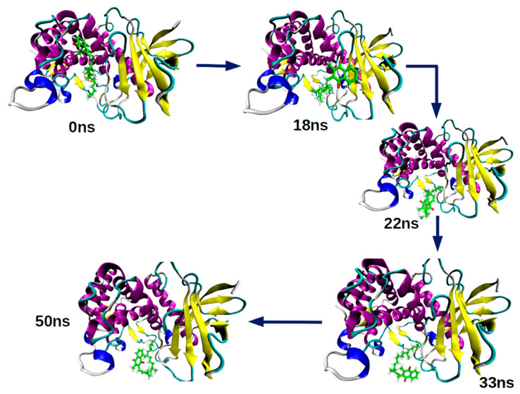 Figure 7