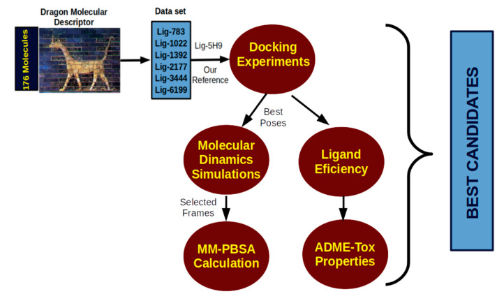 Figure 10