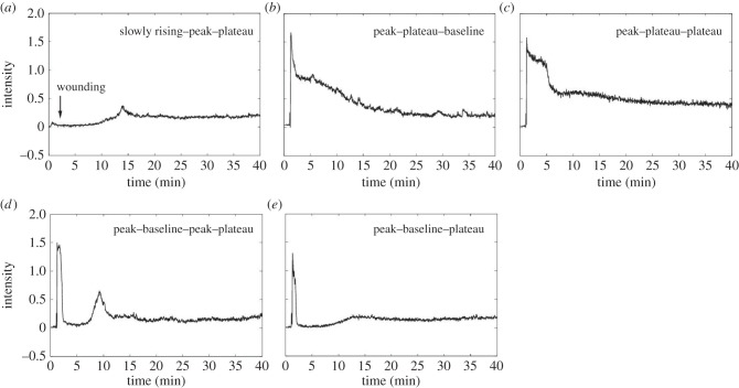 Figure 9.