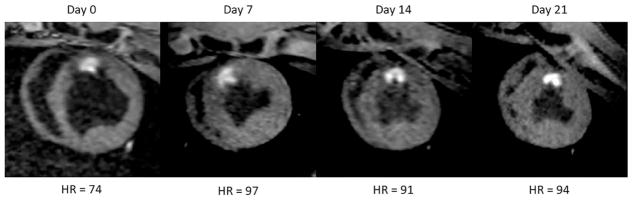 FIG. 8