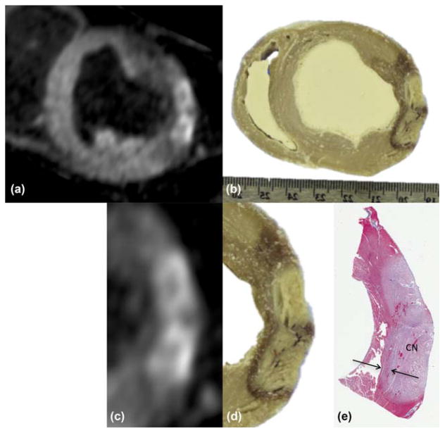 FIG. 7