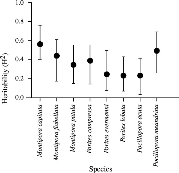 Broad sense heritability (h2) for each coral species under combined warming and acidification.