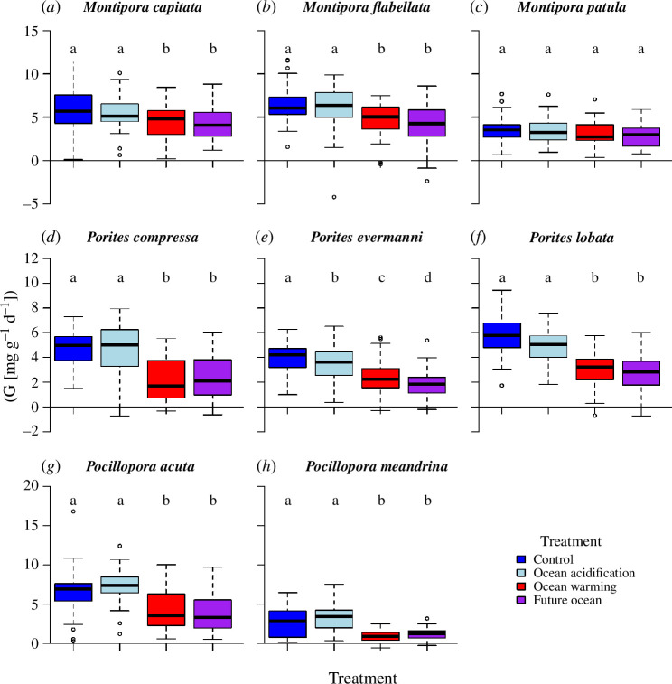 Boxplot of treatment effects on coral calcification rate (g) for each species.