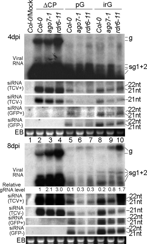 Fig. 4.