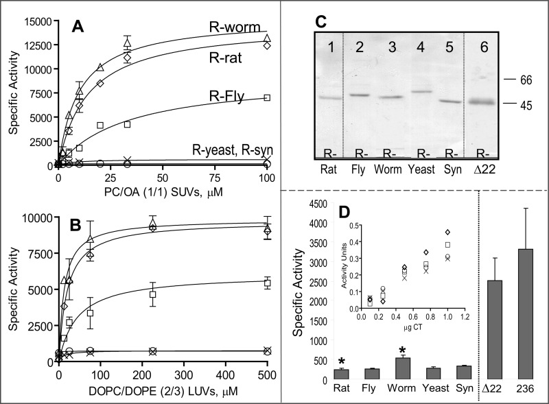 FIGURE 4.