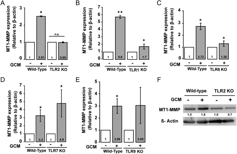 Fig. 4.