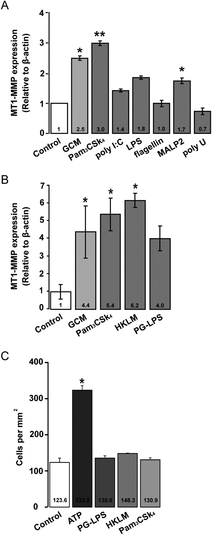 Fig. 3.