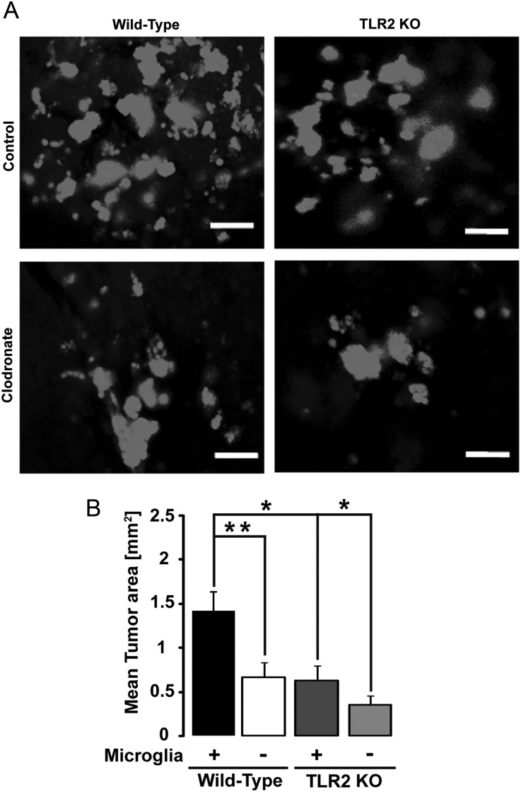 Fig. 2.