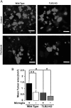 Fig. 2.