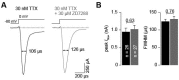Figure 1—figure supplement 1.