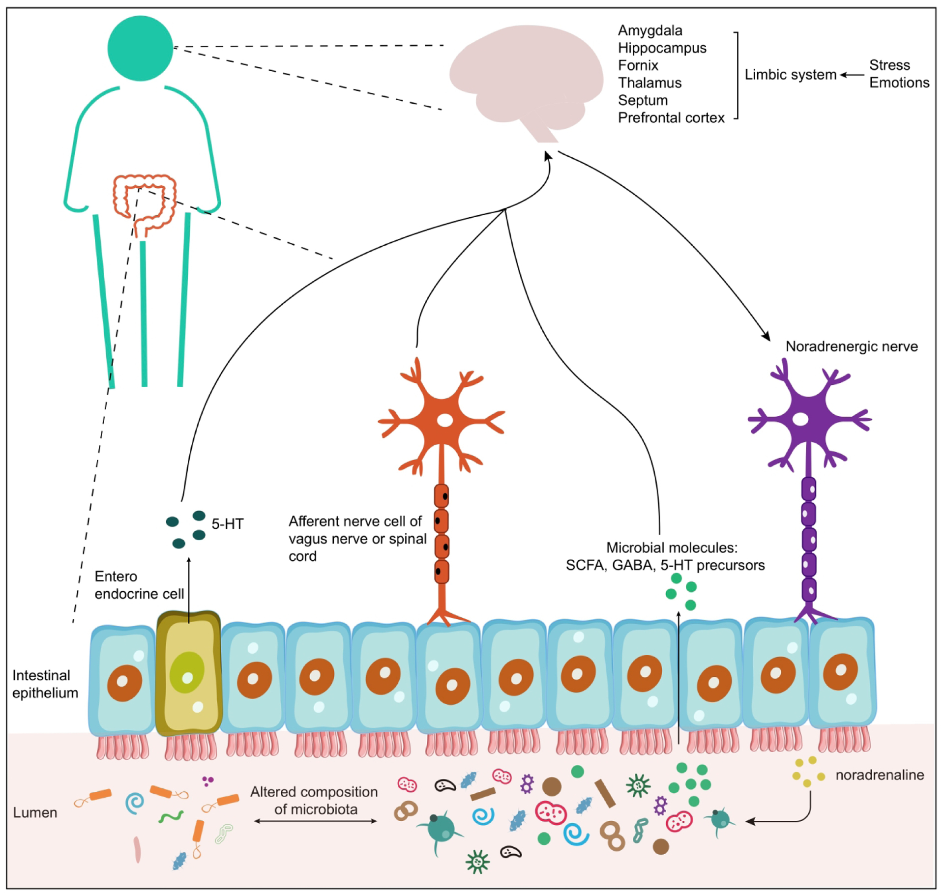 Figure 1: