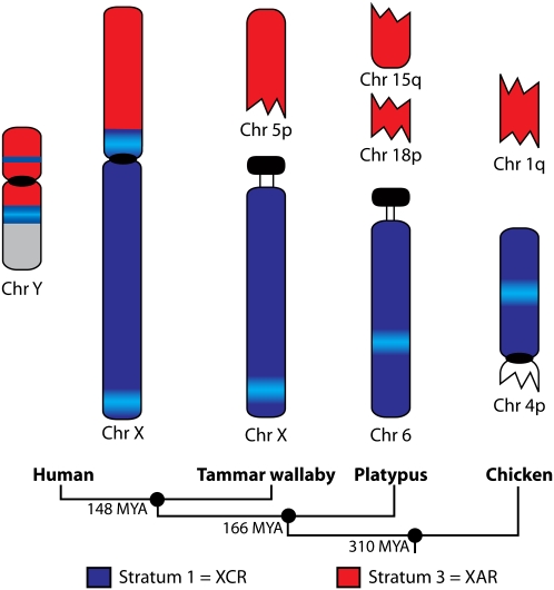 Figure 5.