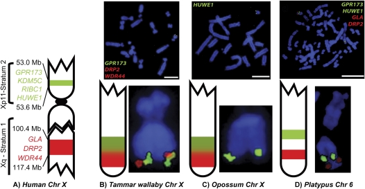 Figure 2.