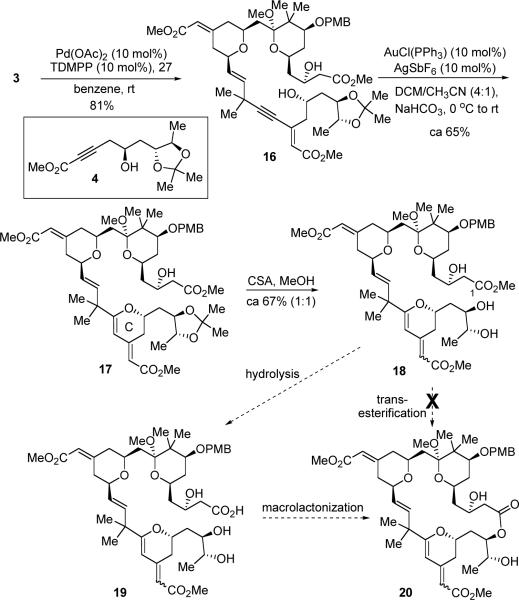 Scheme 5