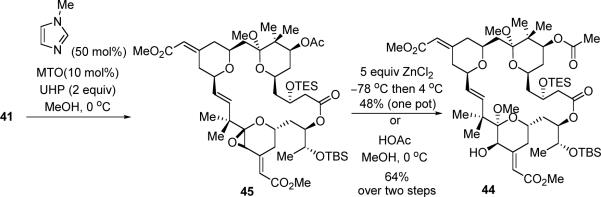 Scheme 14